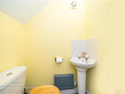Picture 11